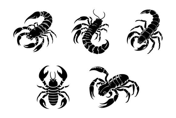 Set of Scorpions: Precision Vector Illustrations for Modern Design