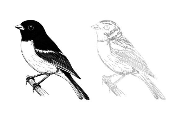 Small City Sparrows: Playful AI EPS Illustrations for Creatives