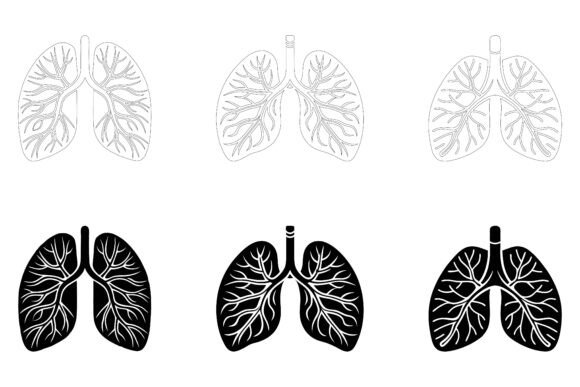 Trachea Organ Simple Line Illustrations: Uses & Benefits