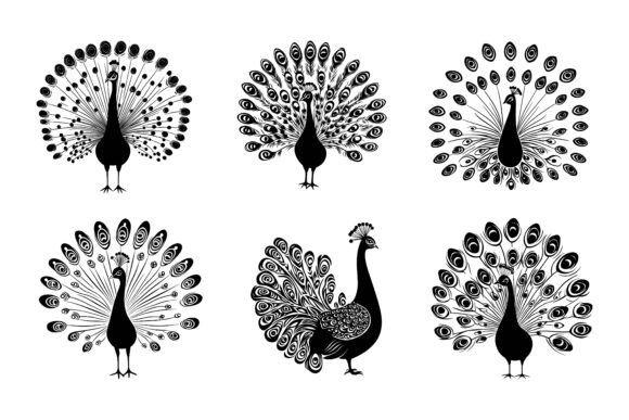 Understanding the Value of a Picock Statue on White Background for Your Creative Projects